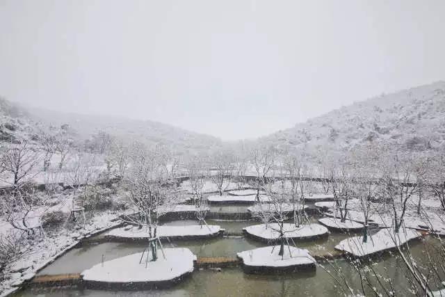 【賽肯思作品】南京高科紫微堂·細節篇