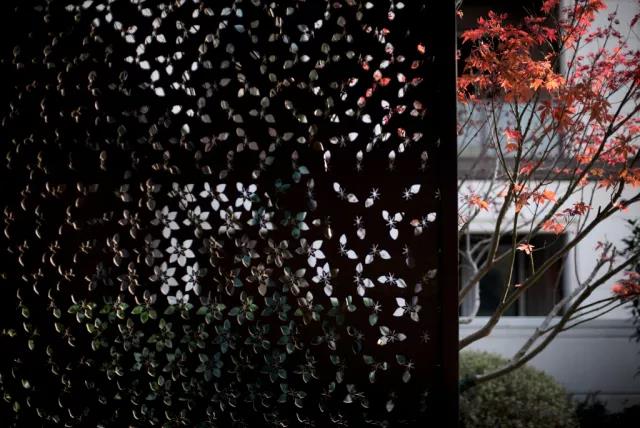 【賽肯思作品】南京高科紫微堂·細節篇