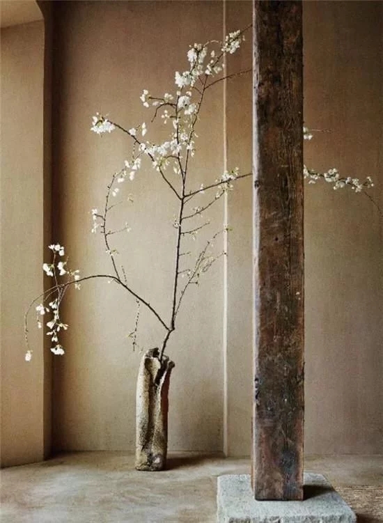 你家房子需要一點花藝