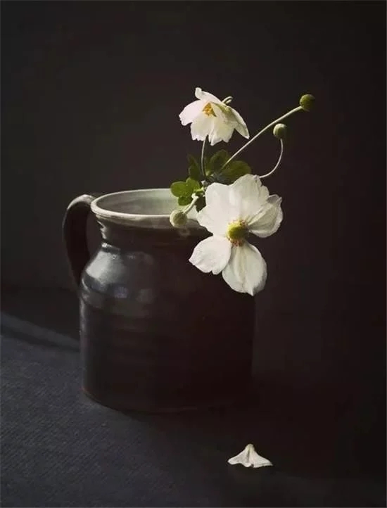 你家房子需要一點花藝