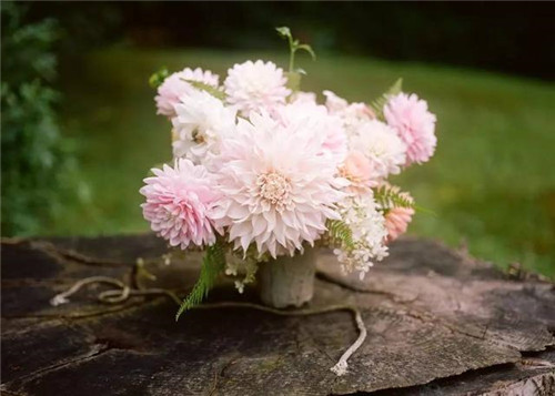 超美的插花作品，花藝師必學！