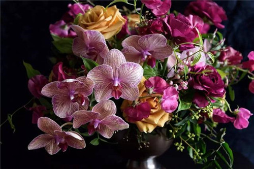 超美的插花作品，花藝師必學！