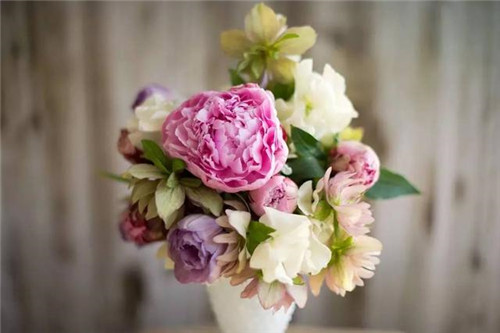 超美的插花作品，花藝師必學！