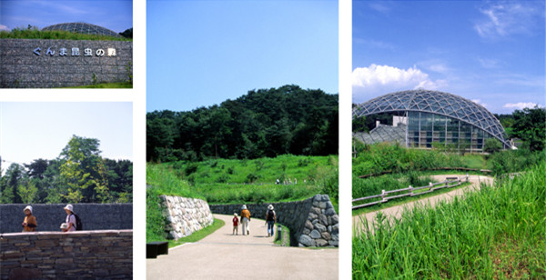 感受山野的自然——日本群馬昆蟲(chóng)森林公園