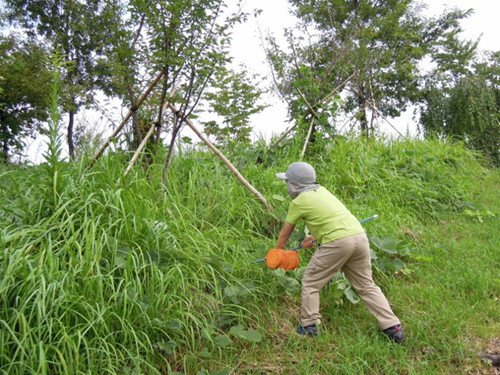 感受山野的自然——日本群馬昆蟲(chóng)森林公園