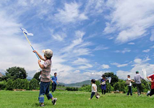 感受山野的自然——日本群馬昆蟲(chóng)森林公園