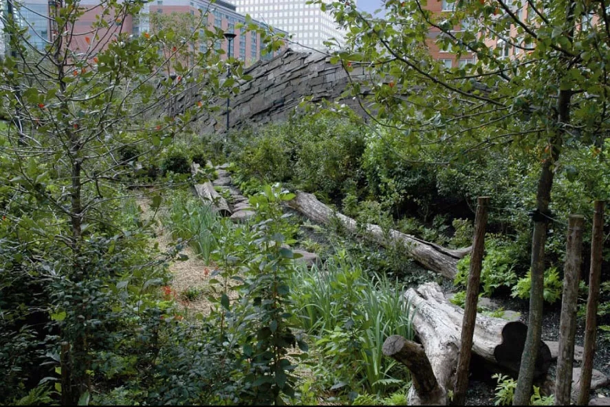 景觀中的安全性就那么重要嗎——美國淚滴公園的啟示