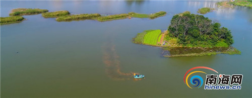 海口最大濕地公園——美舍河鳳翔濕地公園