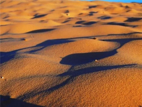 美國國家公園大串燒:美西大圓環極致玩法