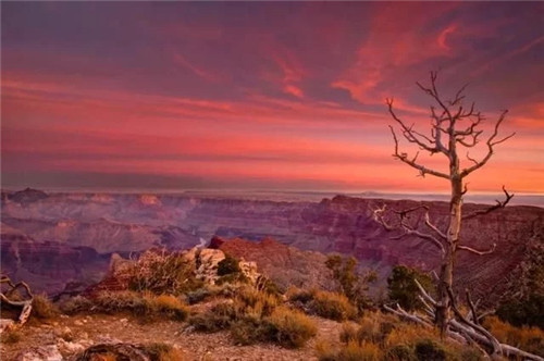 美國國家公園大串燒:美西大圓環極致玩法