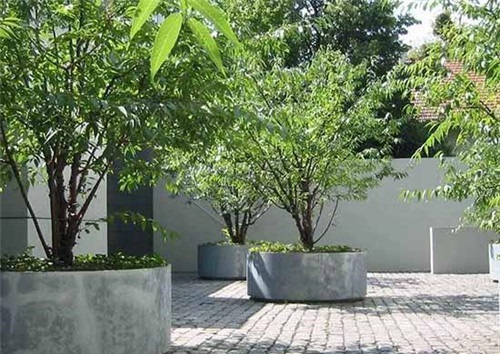 旅游景觀之經典的樹池設計