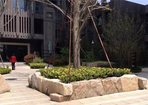 旅游景觀之經典的樹池設計