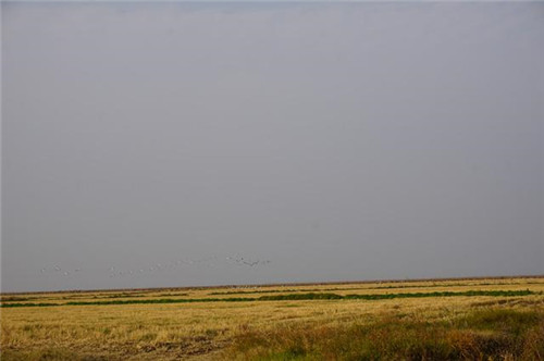 江西九江市千年古鎮(zhèn)永修吳城