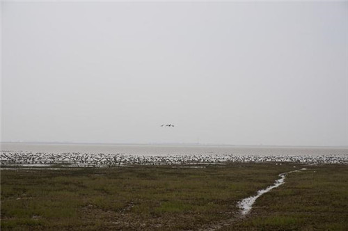 江西九江市千年古鎮(zhèn)永修吳城