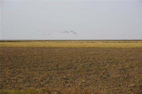 江西九江市千年古鎮(zhèn)永修吳城