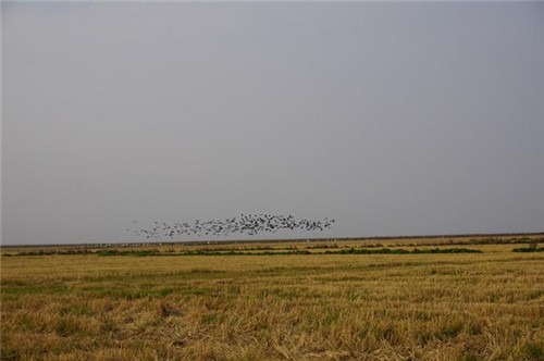 江西九江市千年古鎮(zhèn)永修吳城