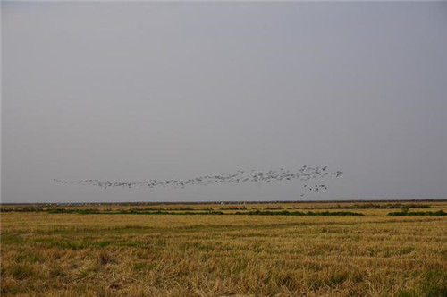 江西九江市千年古鎮(zhèn)永修吳城