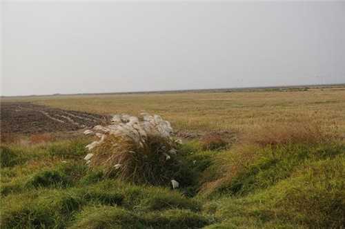 江西九江市千年古鎮(zhèn)永修吳城