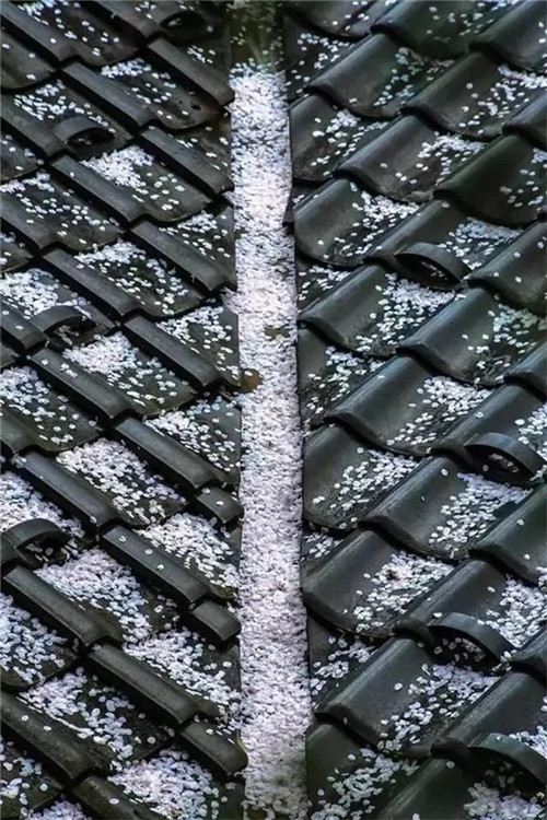 民宿設計意韻東方,瓦檐之美,美在細節