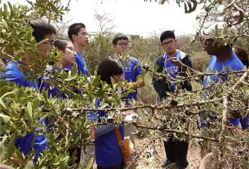 諶良仲:保護生物多樣性的戰斗仍將繼續