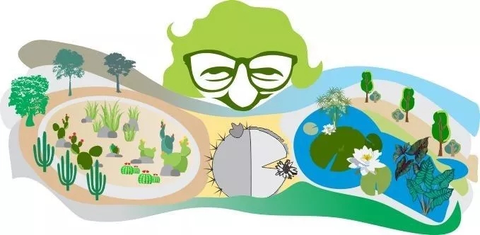 上帝的調(diào)色盤(pán)——布雷馬克思