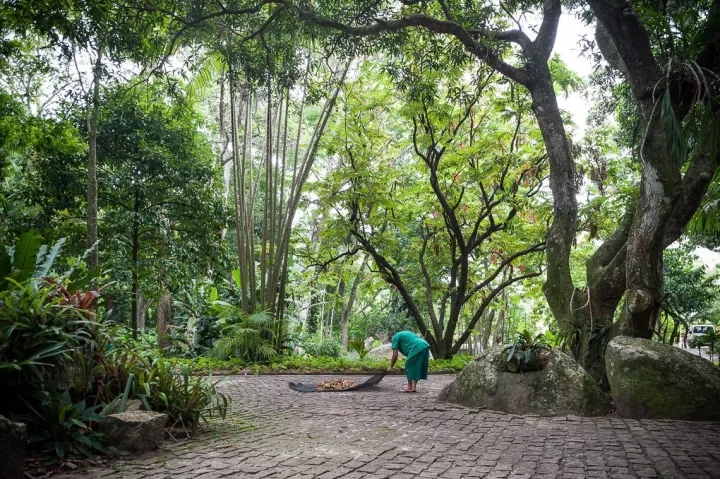 上帝的調(diào)色盤(pán)——布雷馬克思