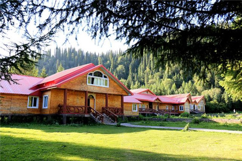 新疆的國家森林公園也美如仙境