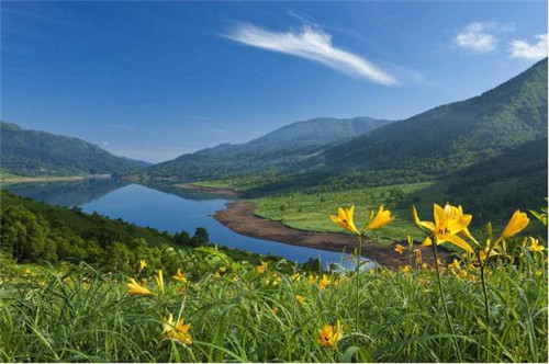 新疆的國家森林公園也美如仙境