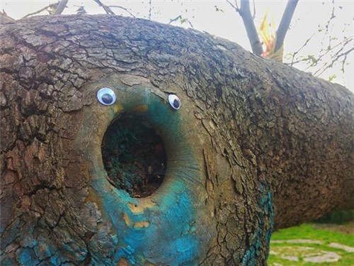 頂尖設計藝術(shù) 帶給你不一樣的靈感