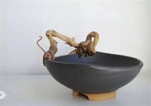 自制禪意插花,與心靈碰撞的心靈藝術