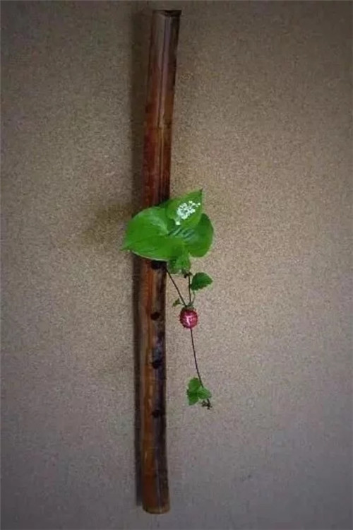 自制禪意插花,與心靈碰撞的心靈藝術