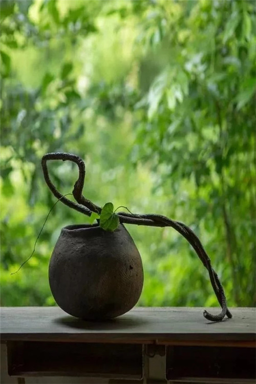 自制禪意插花,與心靈碰撞的心靈藝術