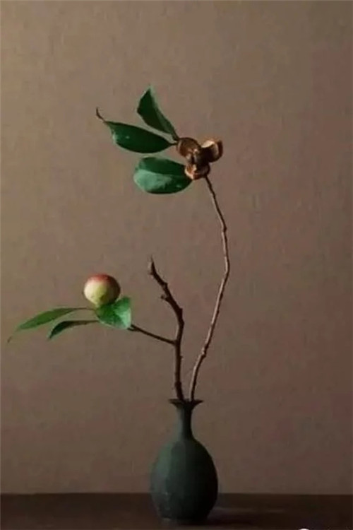 自制禪意插花,與心靈碰撞的心靈藝術