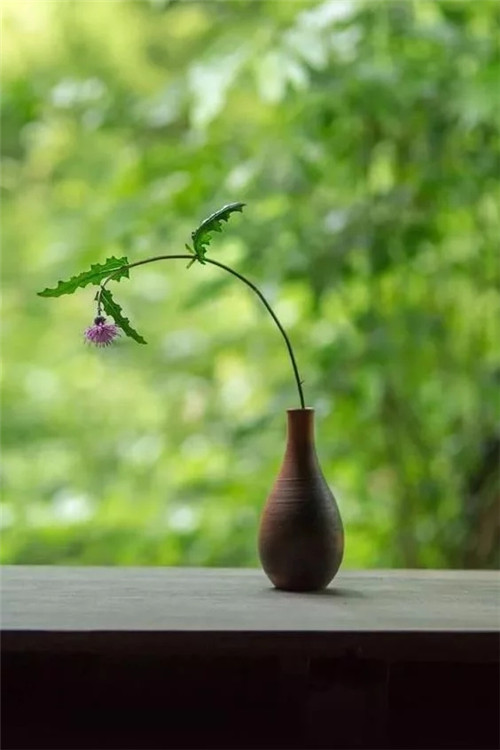 自制禪意插花,與心靈碰撞的心靈藝術