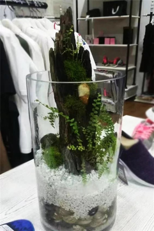 自制禪意插花,與心靈碰撞的心靈藝術