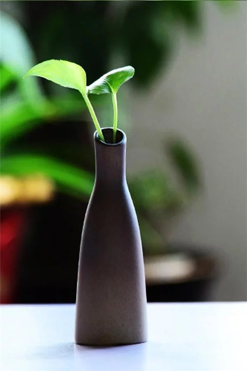 自制禪意插花,與心靈碰撞的心靈藝術