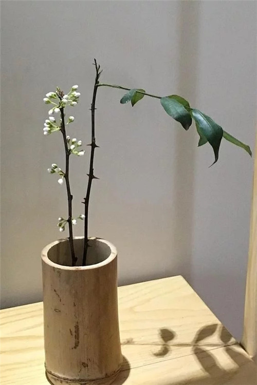 自制禪意插花,與心靈碰撞的心靈藝術