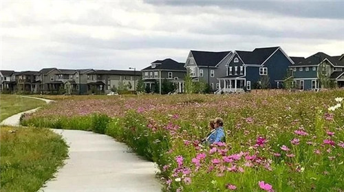 應對氣候變化的雨水彈性設計