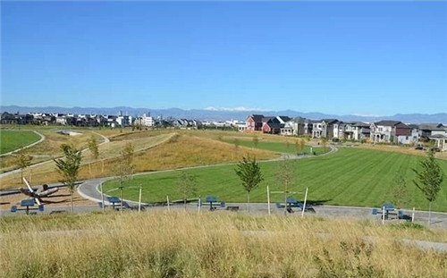 應對氣候變化的雨水彈性設計