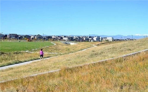 應對氣候變化的雨水彈性設計