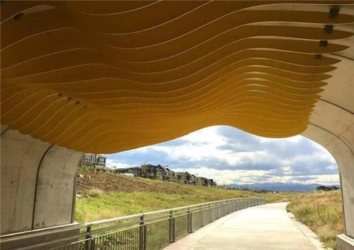 應對氣候變化的雨水彈性設計