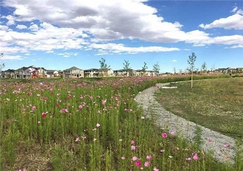 應對氣候變化的雨水彈性設計