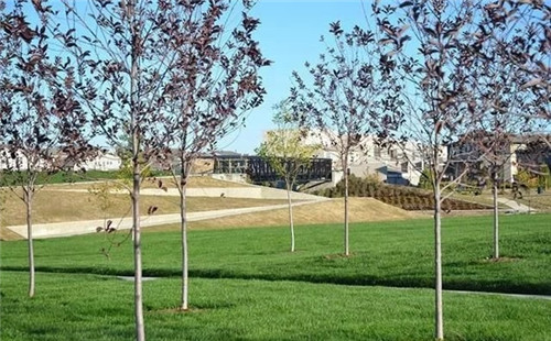 應對氣候變化的雨水彈性設計