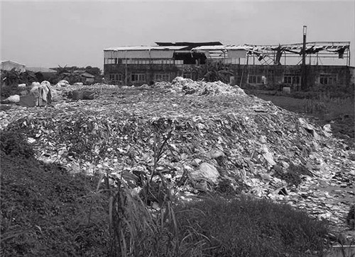 東莞生態(tài)園：海綿城市為術(shù)，區(qū)域整合為道