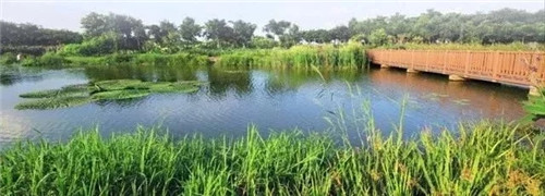 東莞生態(tài)園：海綿城市為術(shù)，區(qū)域整合為道