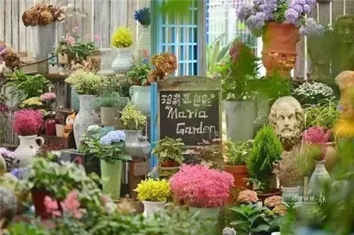 劉俊建了座2畝的鮮花小鎮(zhèn)