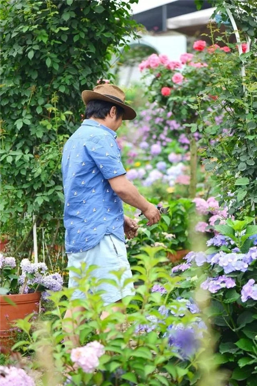 劉俊建了座2畝的鮮花小鎮(zhèn)