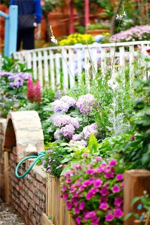 劉俊建了座2畝的鮮花小鎮(zhèn)