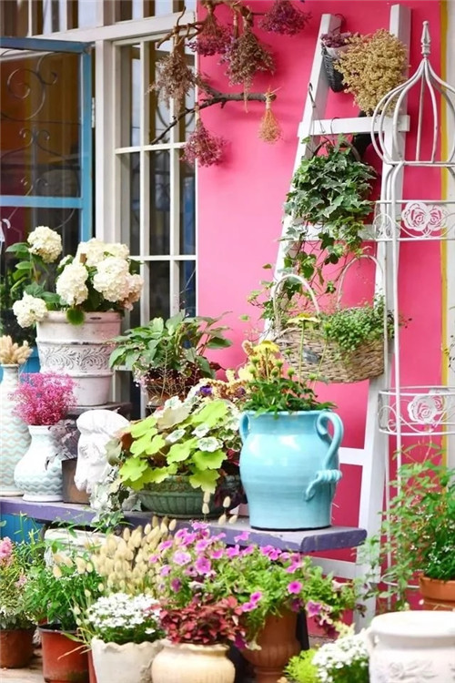 劉俊建了座2畝的鮮花小鎮(zhèn)