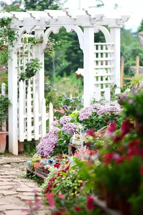 劉俊建了座2畝的鮮花小鎮(zhèn)